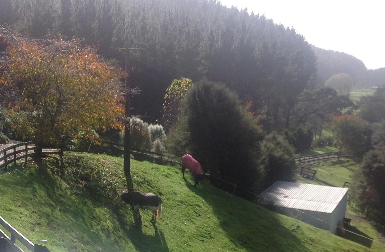 Karamu Valley Lodge Bagian luar foto